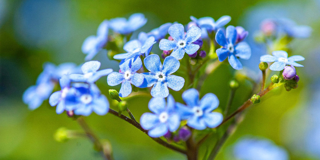 remembering a loved one